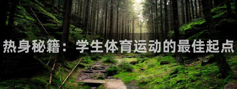 bbin视讯游戏官网
