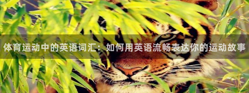 bbin视讯