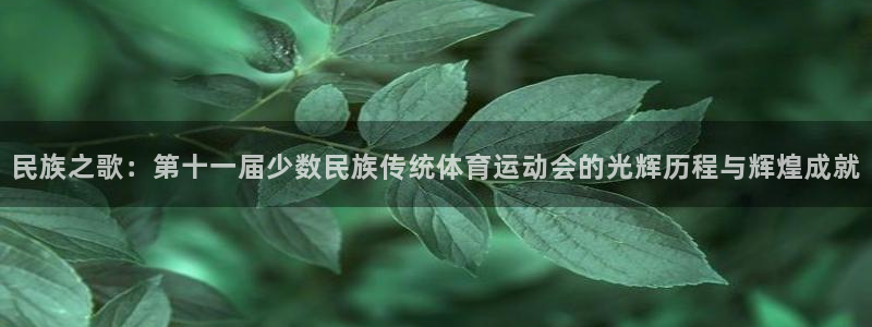 bbin视讯游戏平台