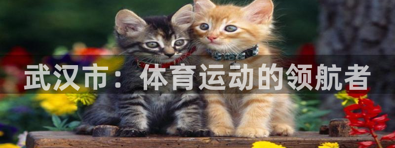bbin视讯