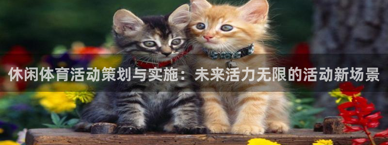 bbin视讯游戏平台