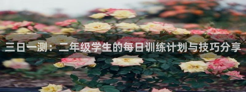 bbin视讯
