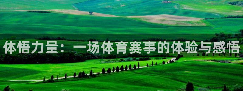 bbin视讯下