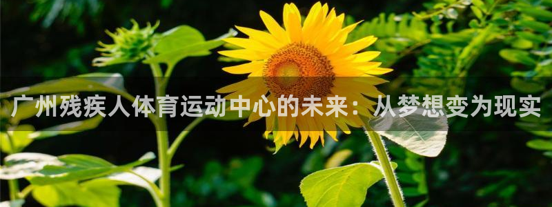 bbin视讯