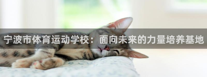 bbin视讯游戏官网