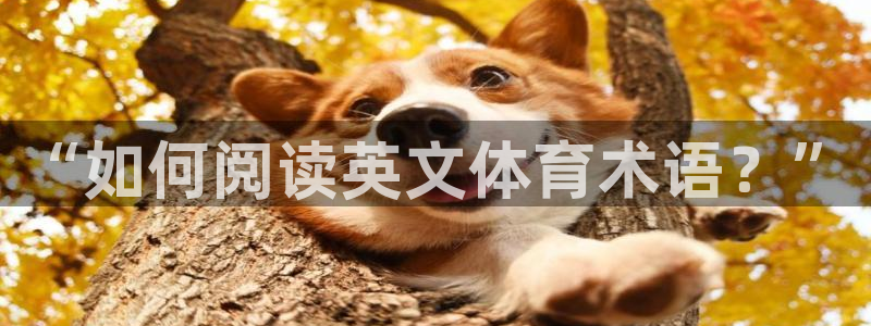 bbin视讯游戏平台