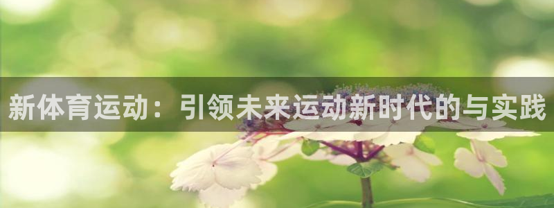 bbin视讯下
